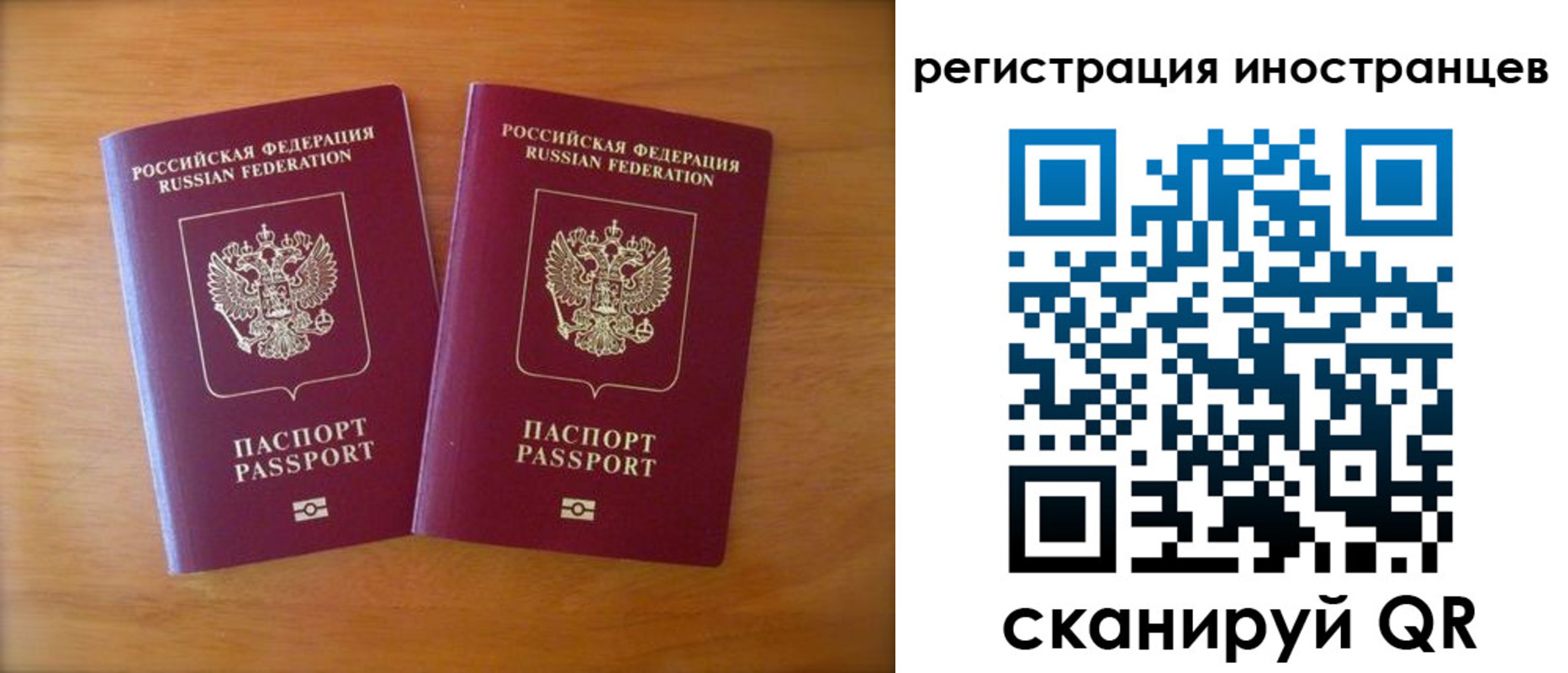 прописка поиск в Волхове